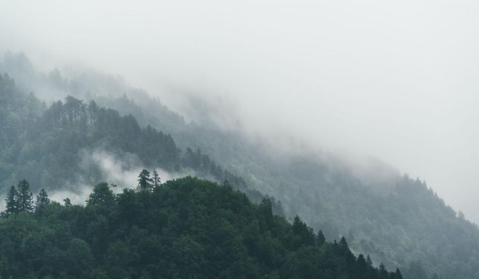 Free Image of A foggy mountain with trees 