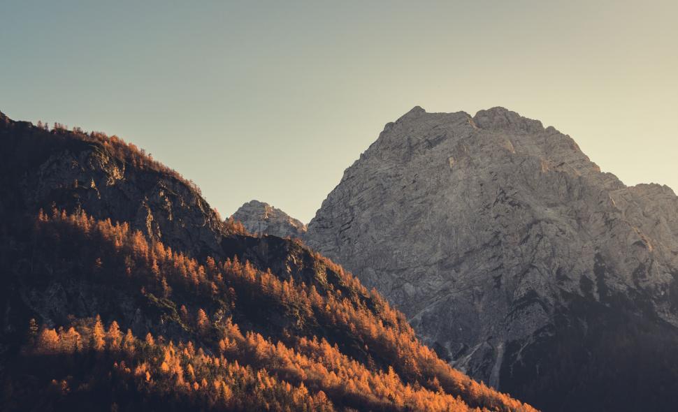 Free Image of A mountain range with trees and a mountain in the background 