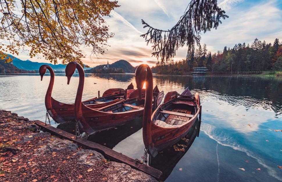 Free Image of Boats on the water with swans shaped boats 