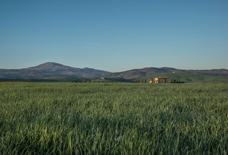 Free Image of A large green field with a house in the distance 