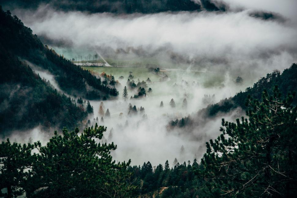 Free Image of A foggy valley with trees and mountains 