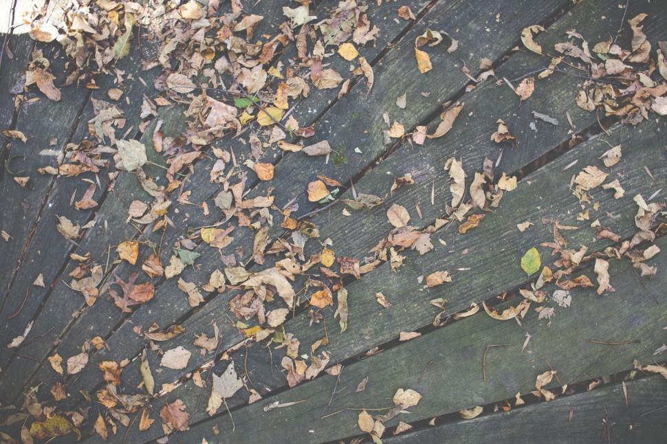 Free Image of Leaves on a wooden deck 