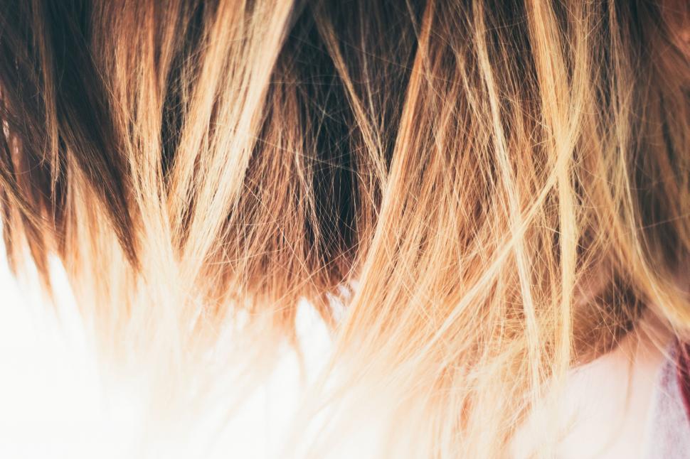 Free Image of A close up of hair 