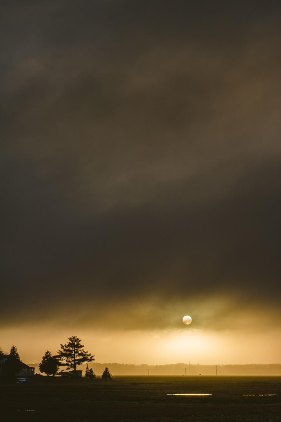 Free Image of A sun setting over a forest 