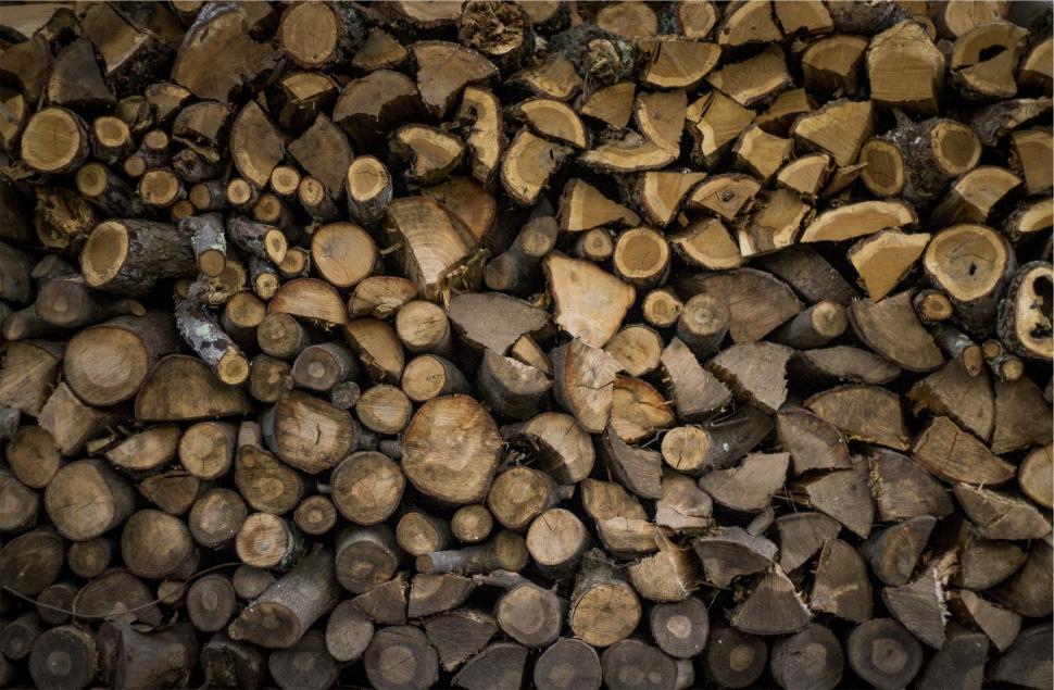 Free Image of A pile of wood logs 