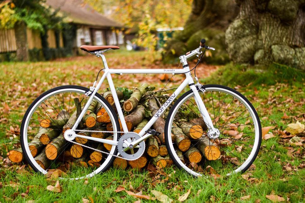 Free Image of A white bicycle leaning against a pile of logs 
