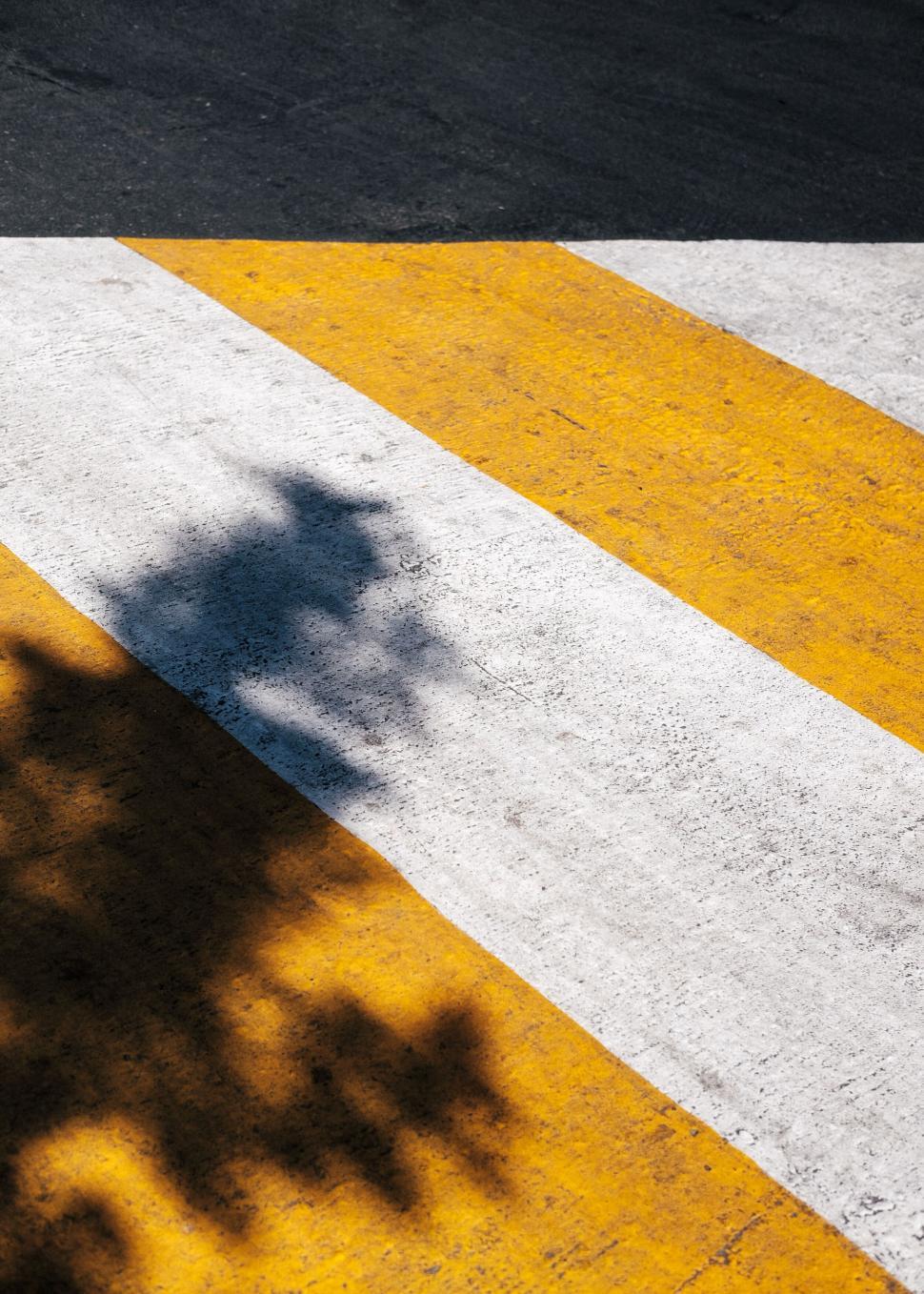 Free Image of pedestrian lane shadow white yellow paint street tree road 