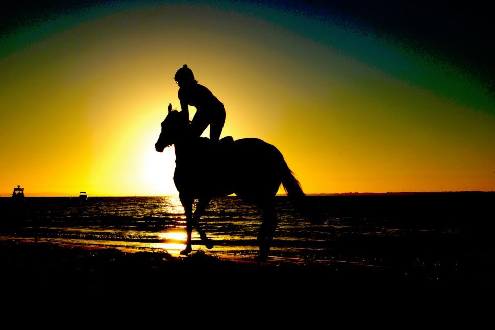 Free Image of A person riding a horse on the beach 