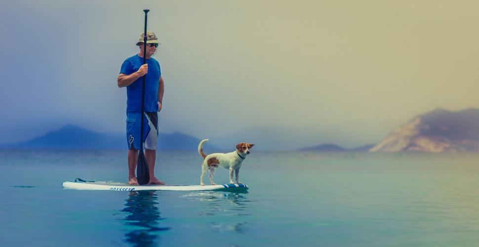 Free Image of A man and a dog on a surfboard in the water 