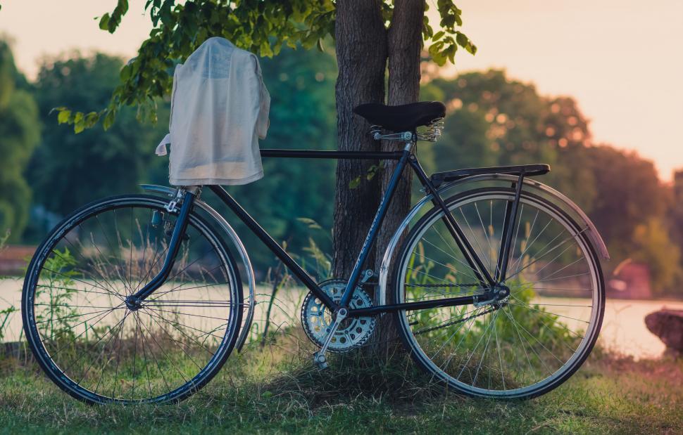 Free Image of A bicycle leaning against a tree 