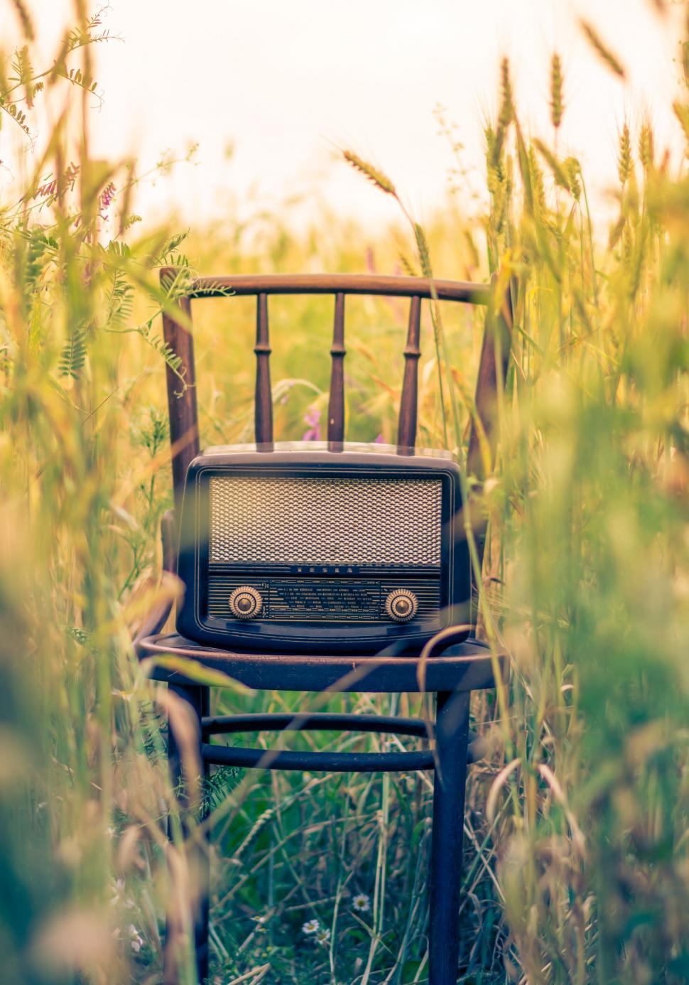 Free Image of An old radio sitting on a chair in tall grass 