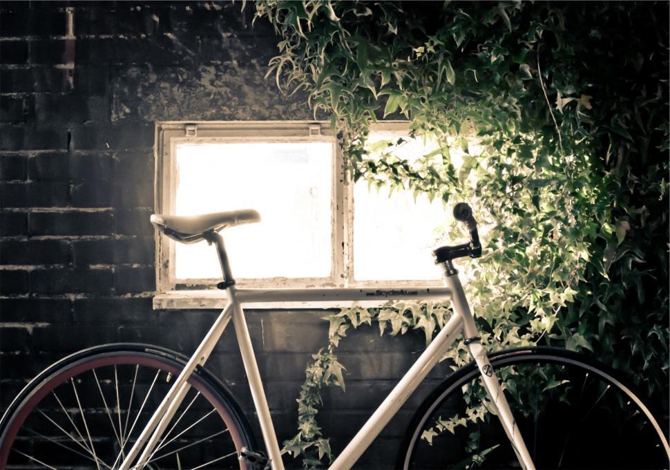 Free Image of A white bicycle in front of a window 