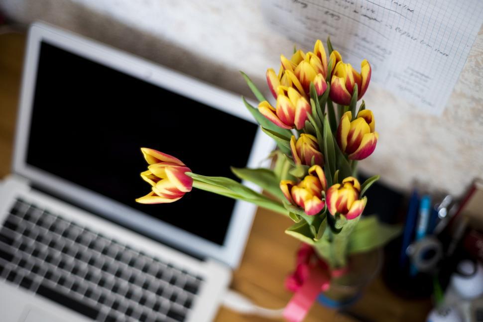 Free Image of A bouquet of tulips in a vase next to a laptop 