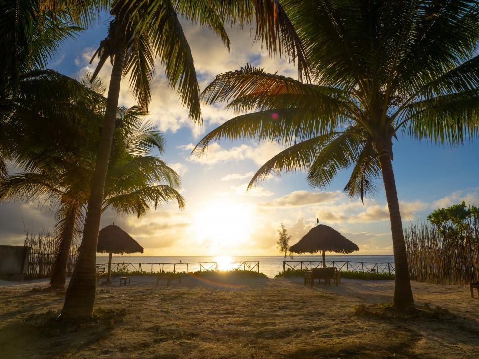 Free Image of A beach with palm trees and straw umbrellas 