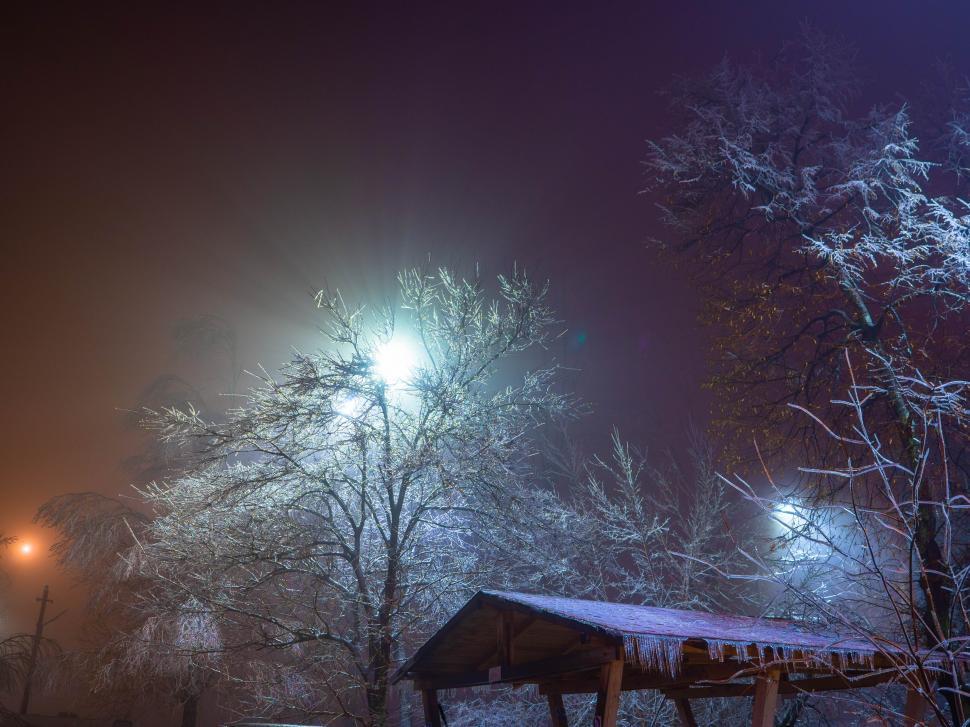Free Image of A snowy covered gazebo and trees at night 