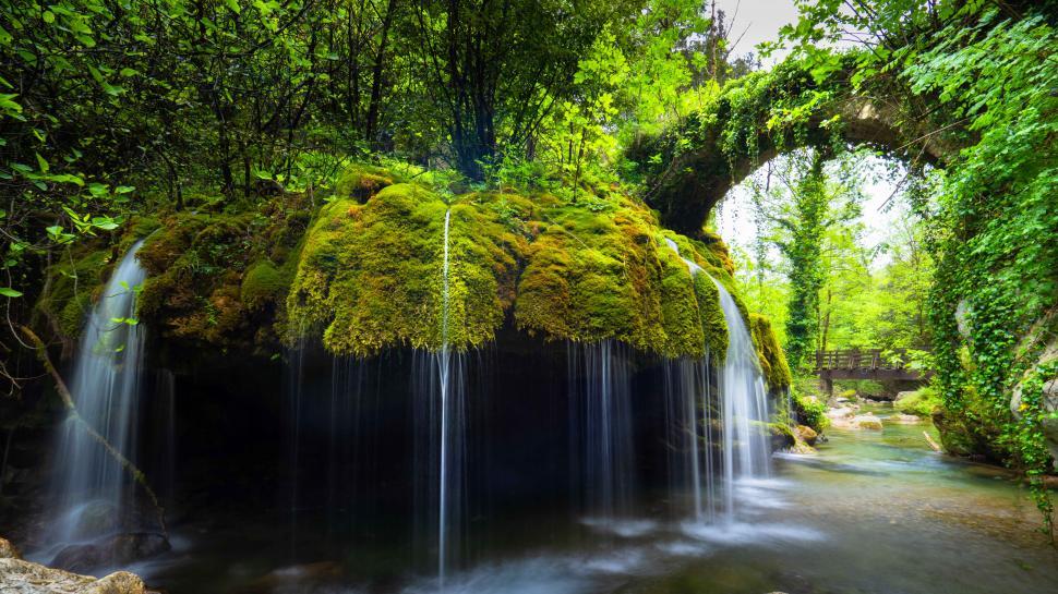 Free Image of A waterfall over a mossy rock with trees 