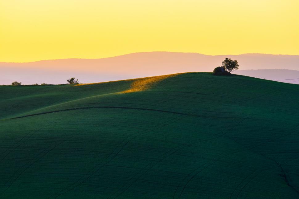 Free Image of A green rolling hills with trees and a yellow sky 