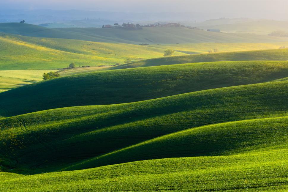 Free Image of A rolling hills with green grass and trees 