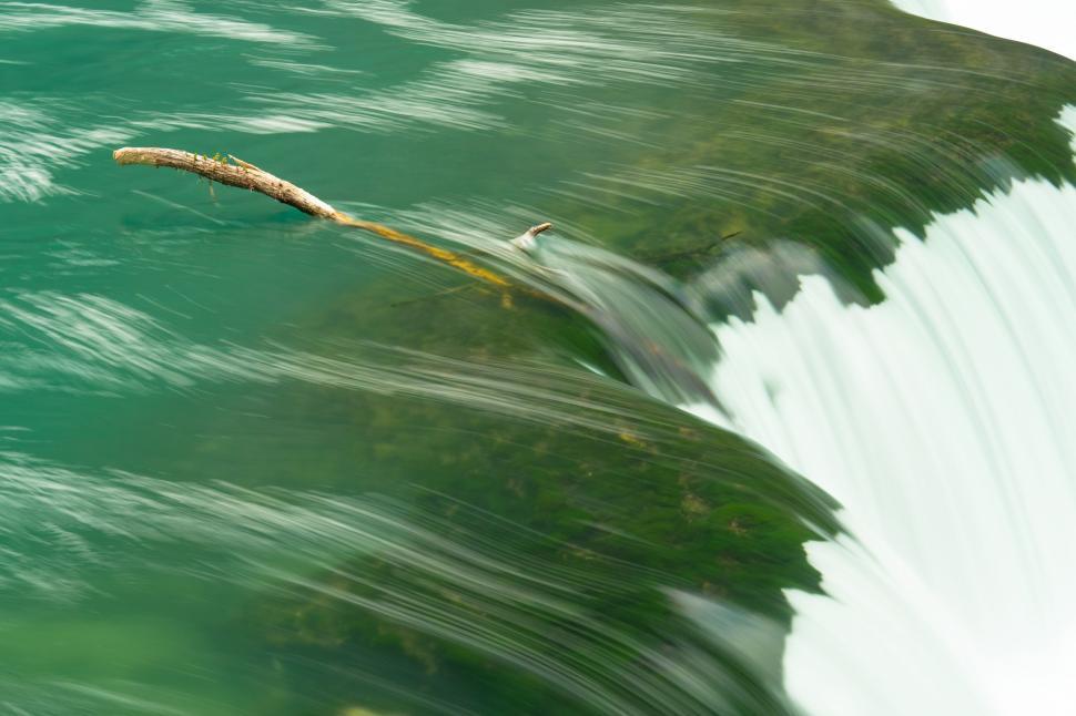Free Image of A branch in the water 