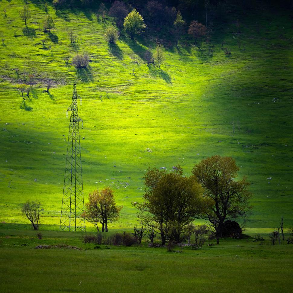 Free Image of A green field with trees and a tower 