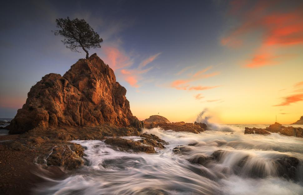 Free Image of A rocky beach with a tree on top 