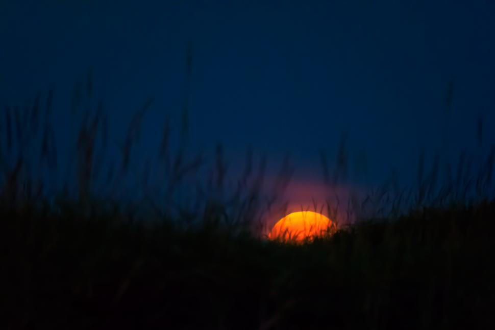 Free Image of A sunset behind grass 