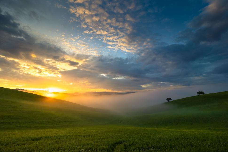 Free Image of A sun setting over a green field 
