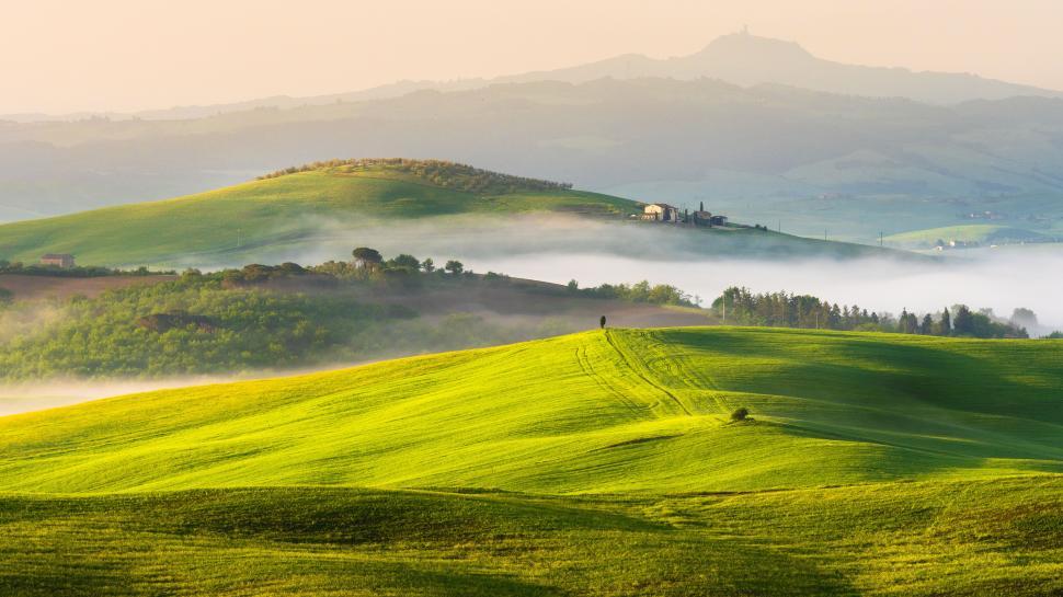 Free Image of A rolling hills with trees and fog 