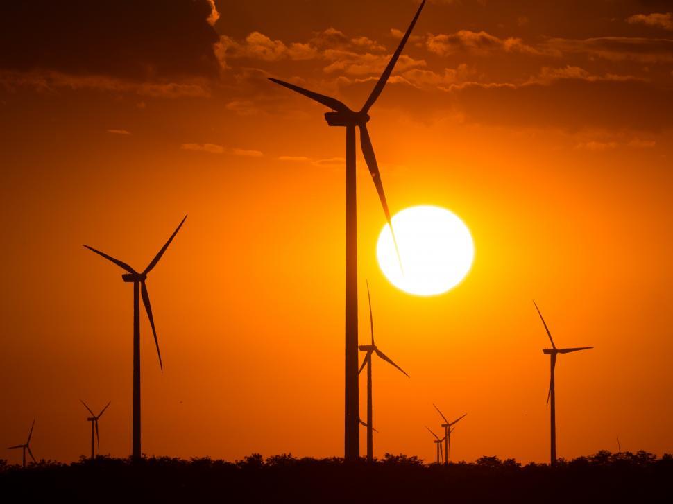 Free Image of A group of windmills in a field with the sun in the background 