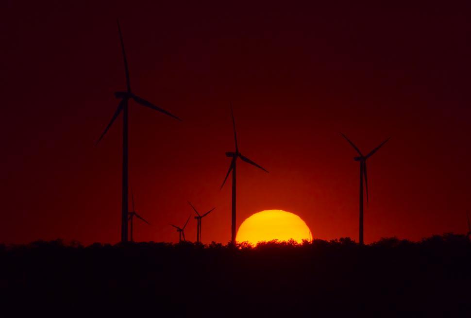Free Image of A group of windmills in the sun 