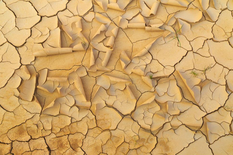 Free Image of A cracked ground with grass growing in it 