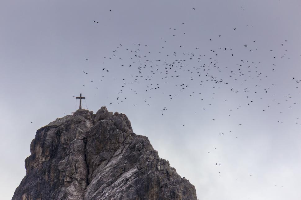 Free Image of A group of birds flying over a mountain 