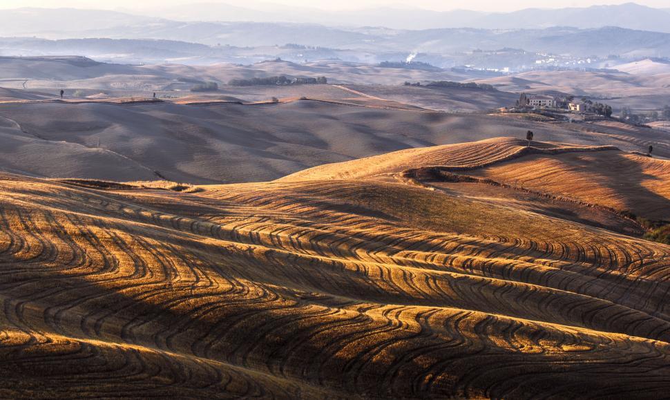 Free Image of A rolling hills with rows of crops 