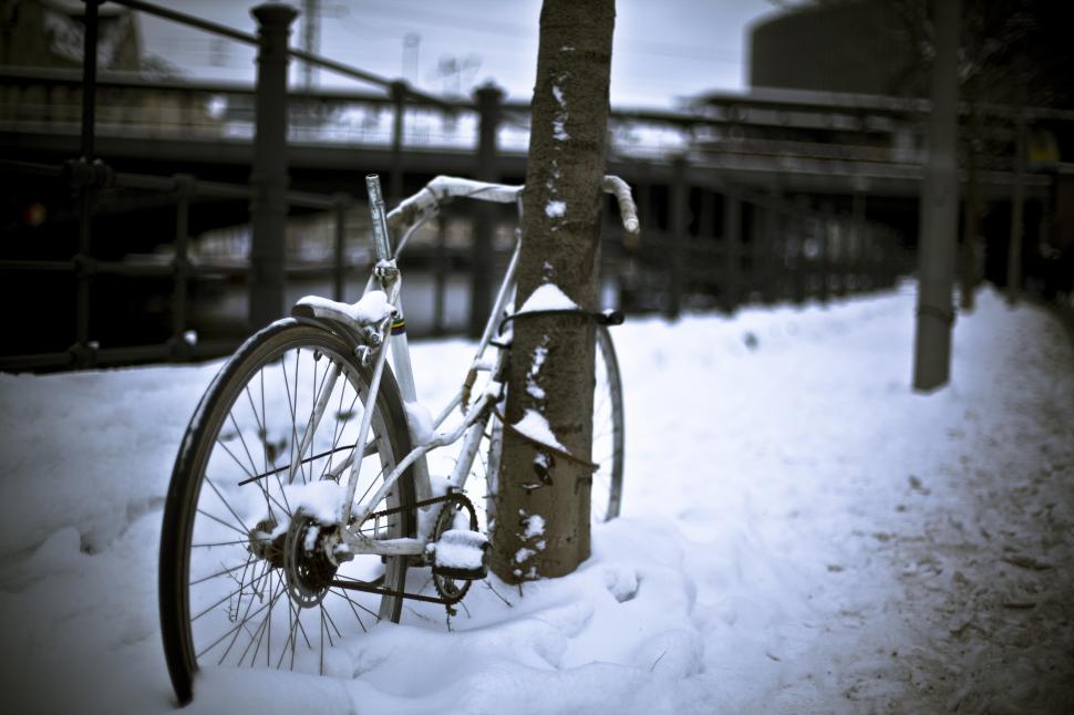 Free Image of A bicycle leaning against a tree in the snow 