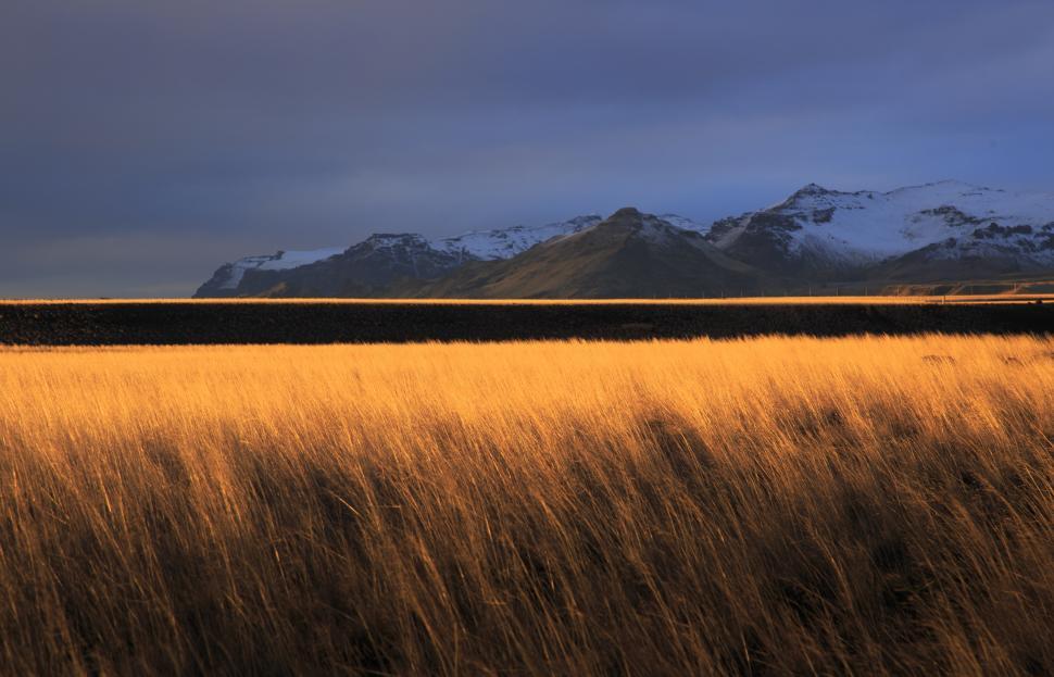 Free Image of A field of grass with mountains in the background 