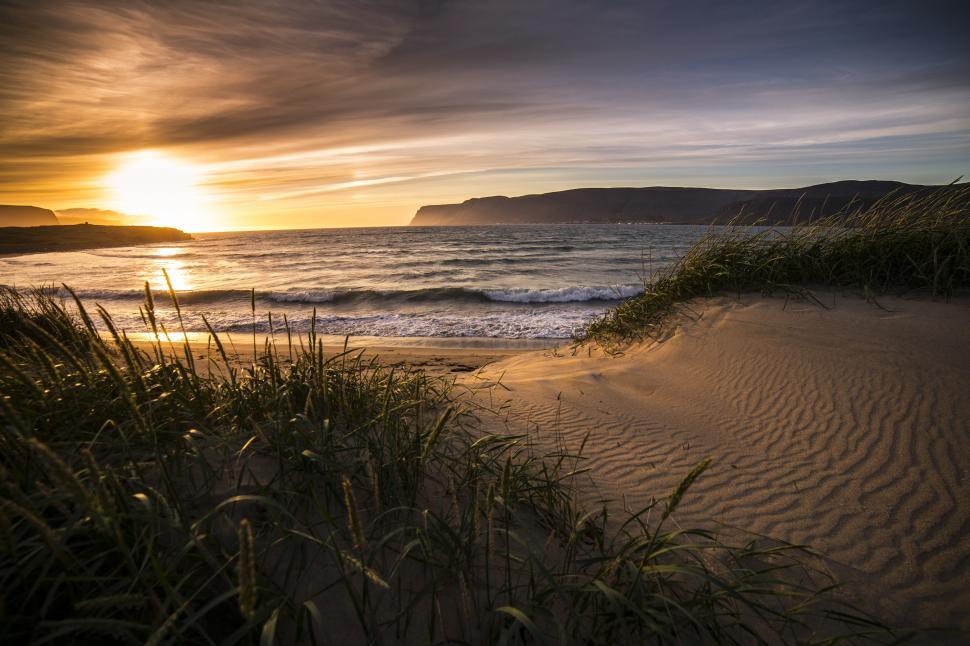 Free Image of A beach with grass and waves 