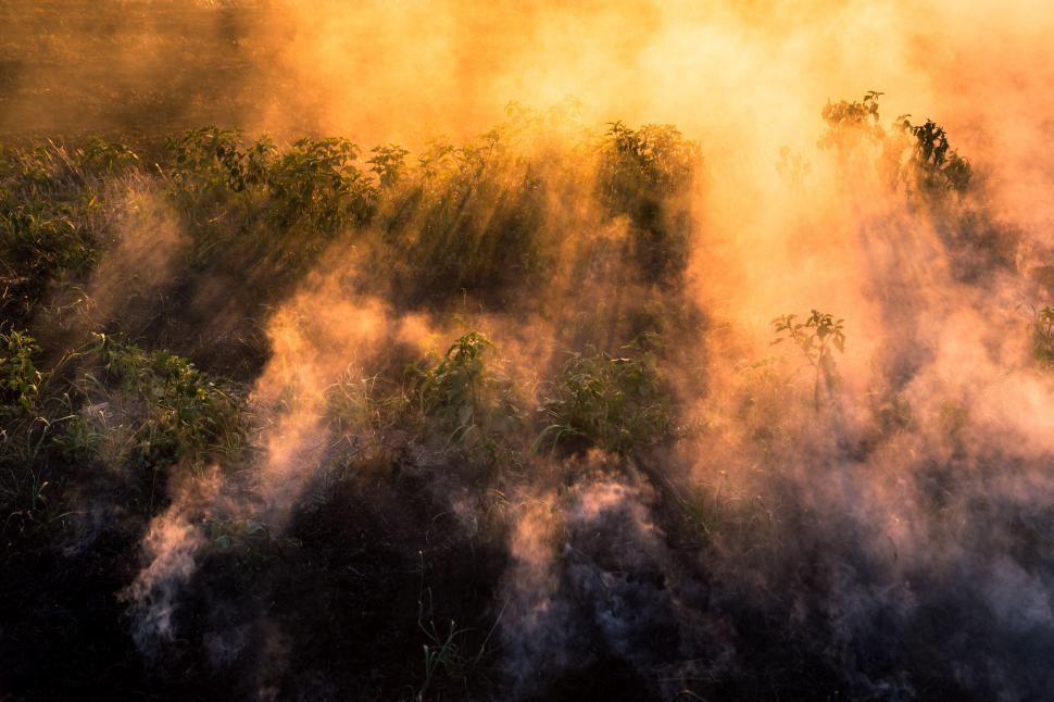 Free Image of Smoke and smoke in a field 