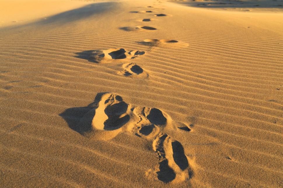 Free Image of Footprints in the sand 