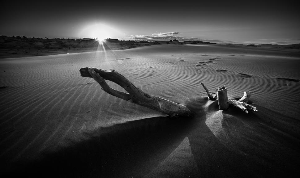 Free Image of A black and white photo of a desert 