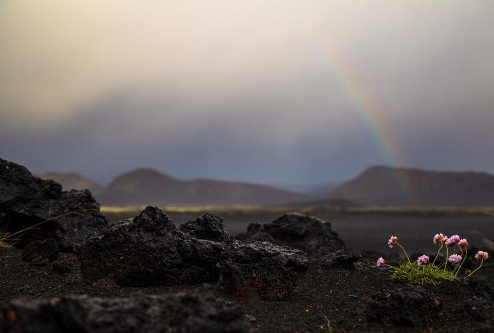 Free Image of A rainbow over a rocky landscape 