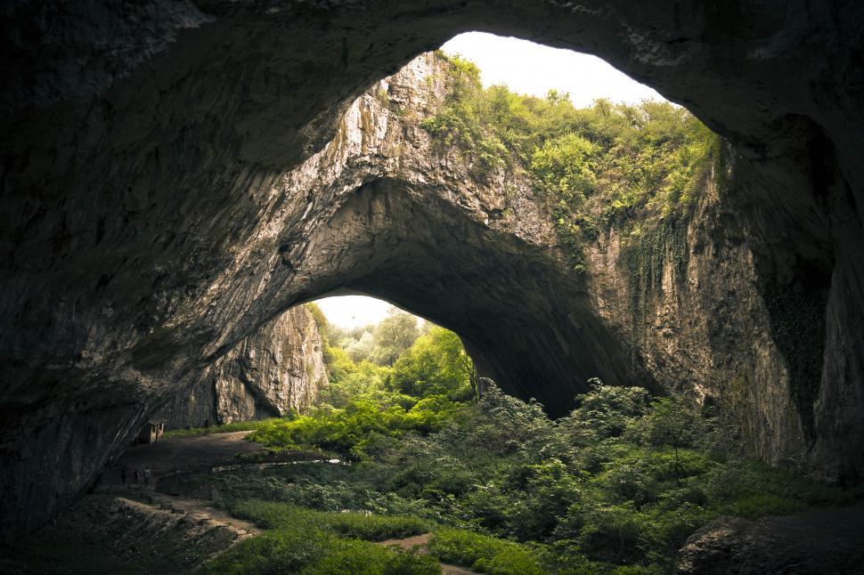 Free Image of A cave with a path and plants 