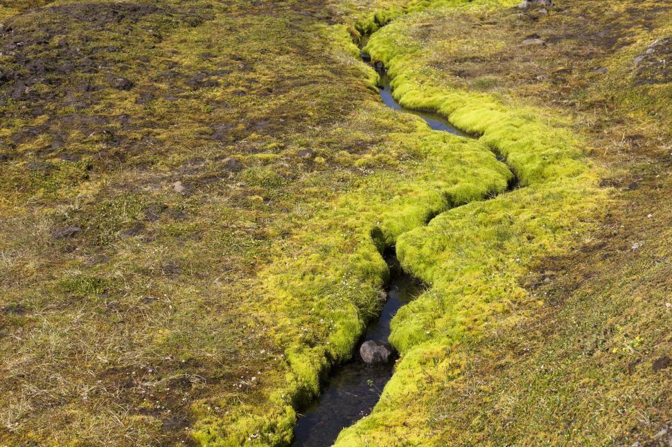 Free Image of A stream running through a grassy field 