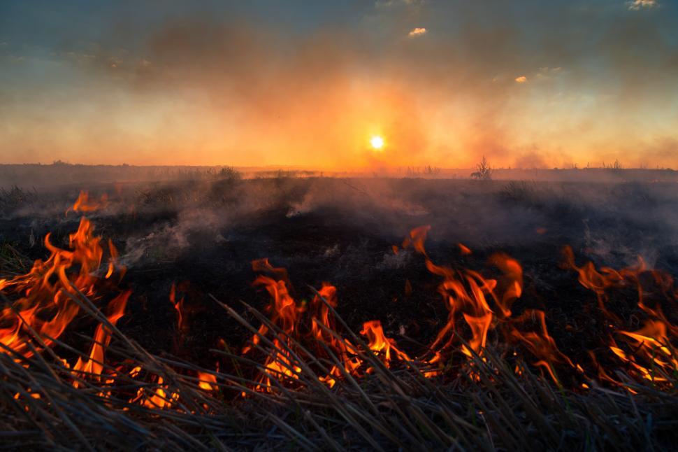 Free Image of A fire in a field 