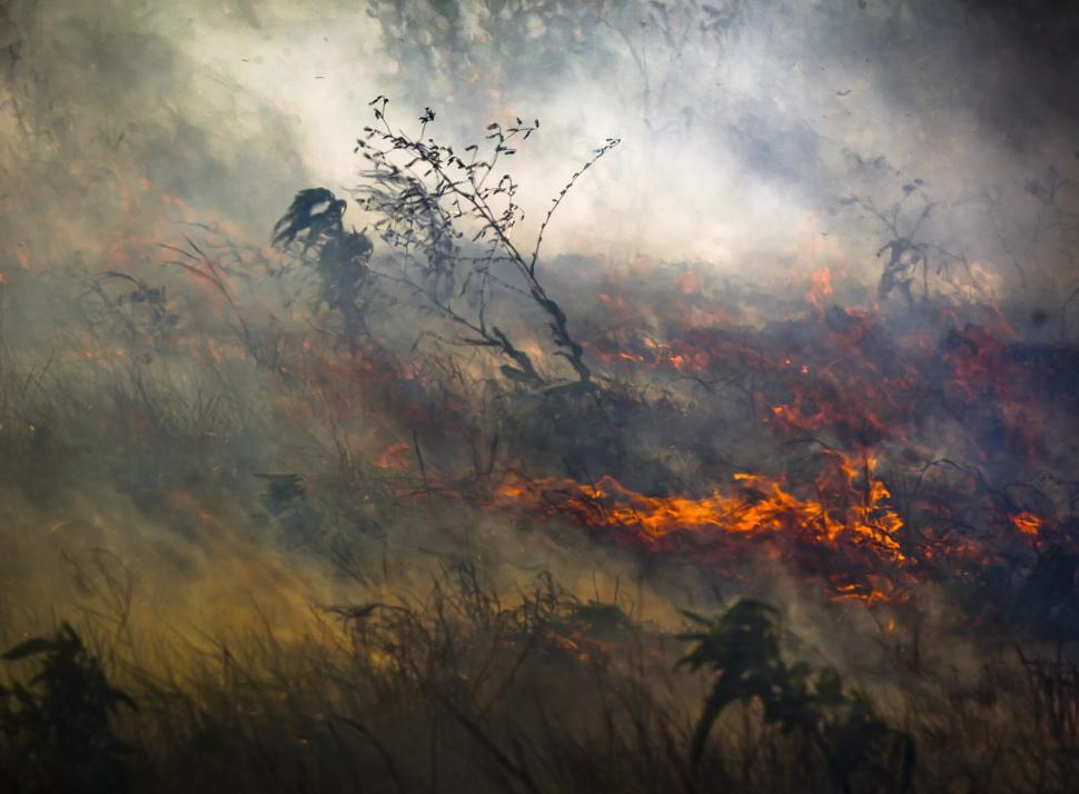 Free Image of A fire in the grass 