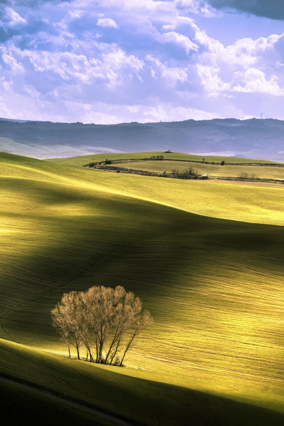 Free Image of A rolling hills with trees and hills in the background 