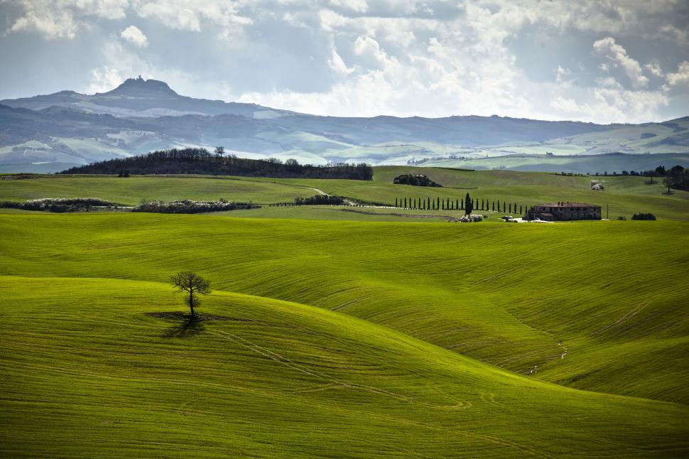 Free Image of A green rolling hills with a tree and a house 