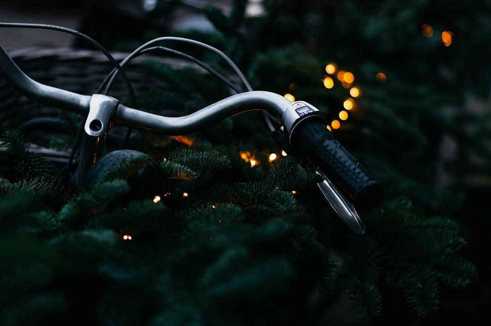 Free Image of A bicycle handlebars on a tree 