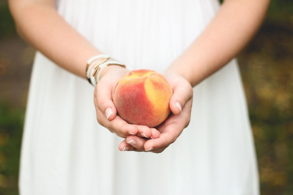 Free Image of A person holding a peach 