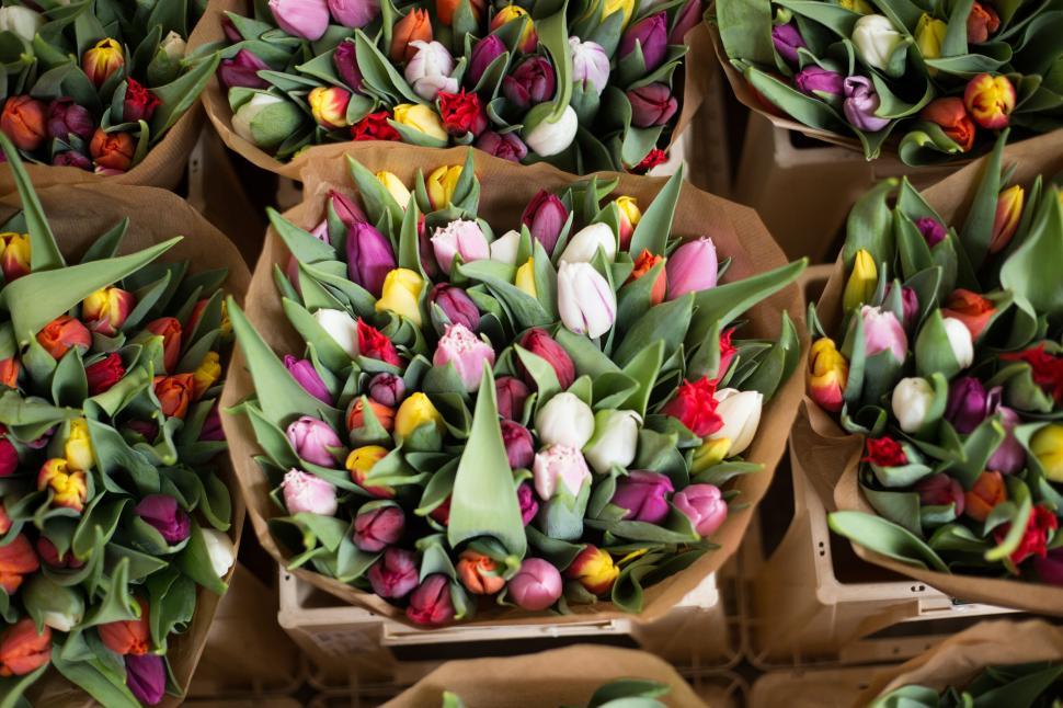 Free Image of A group of colorful tulips in a basket 