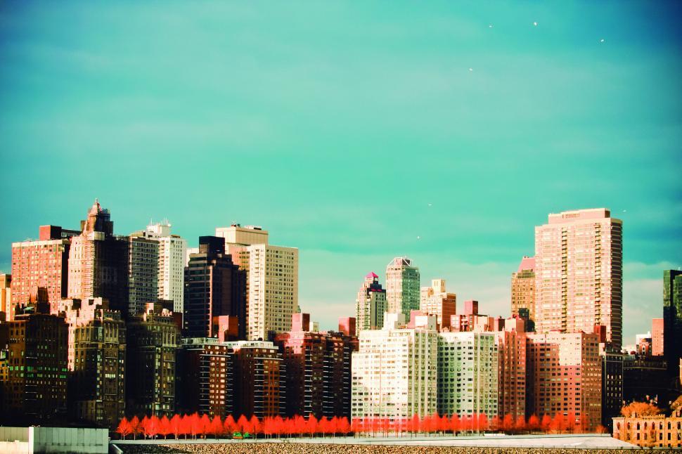 Free Image of A city skyline with many tall buildings 